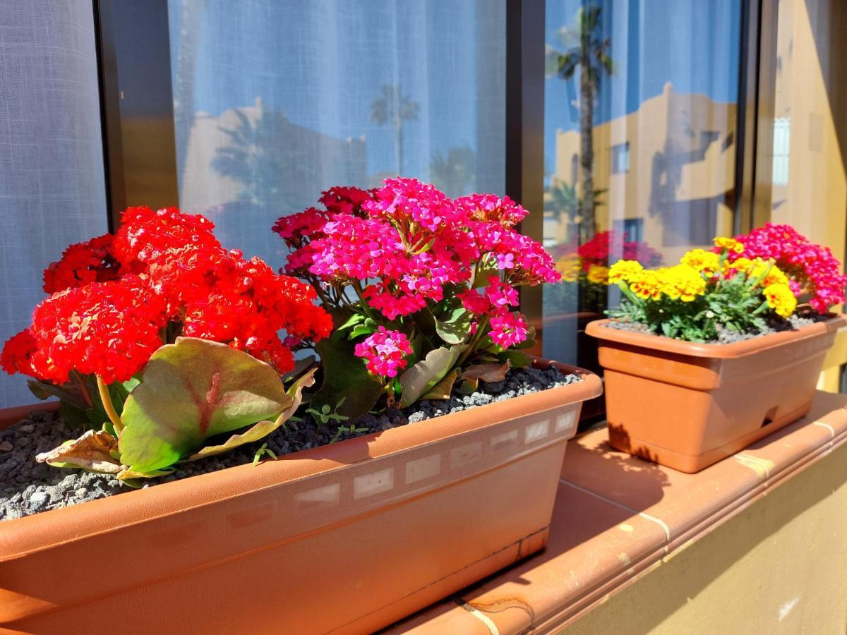 Appartement Casa Ledù - Sunny In Fuerteventura